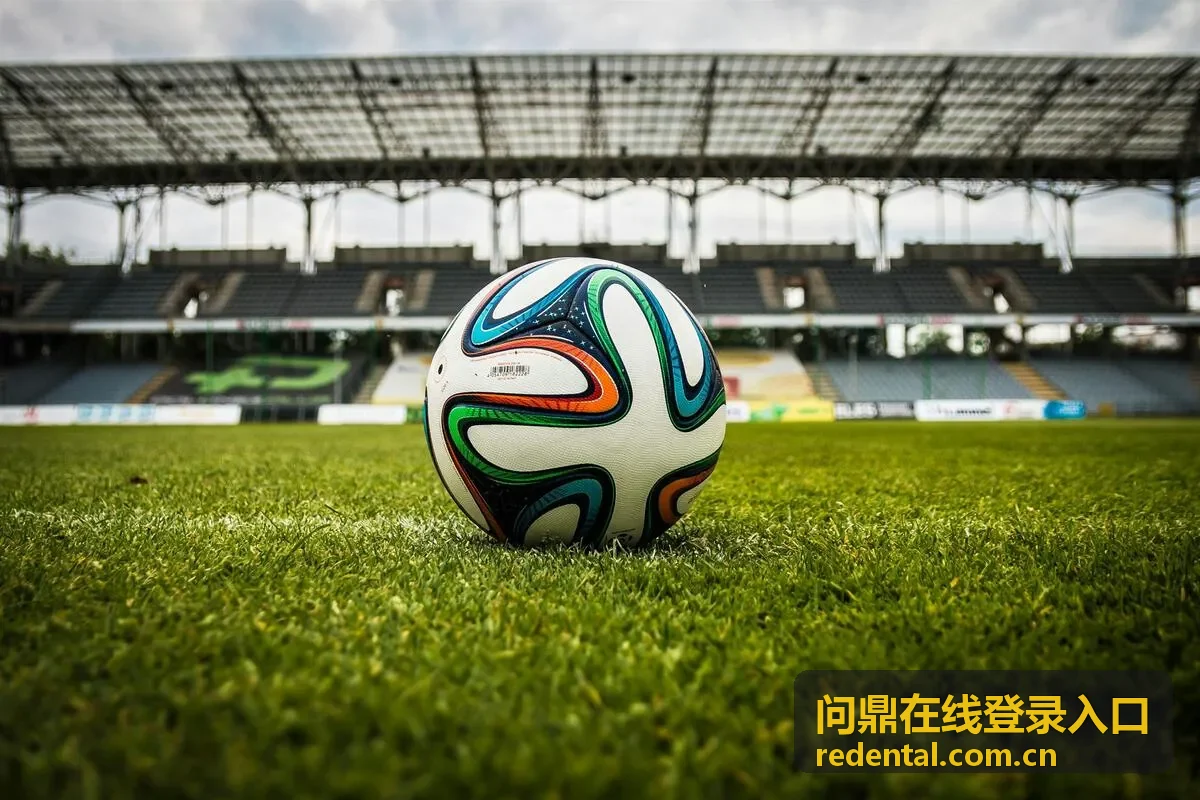 问鼎在线登录入口安全中心