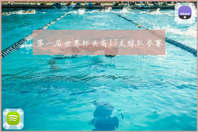 第一届世界杯共有13支球队参赛