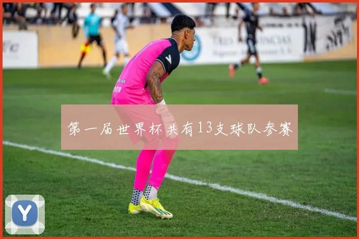 第一届世界杯共有13支球队参赛