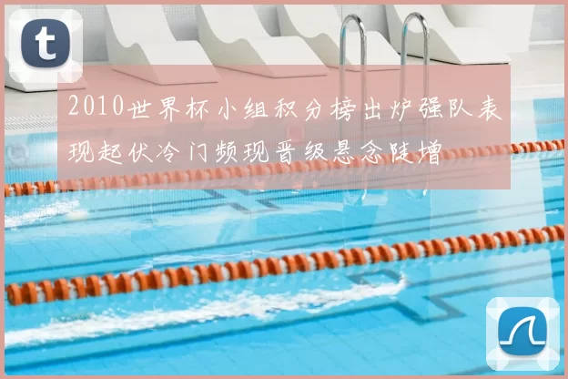 2010世界杯小组积分榜出炉强队表现起伏冷门频现晋级悬念陡增