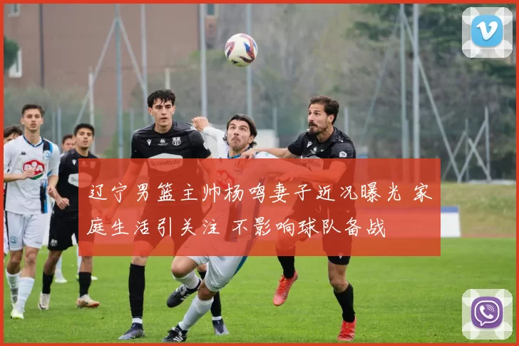 辽宁男篮主帅杨鸣妻子近况曝光 家庭生活引关注 不影响球队备战