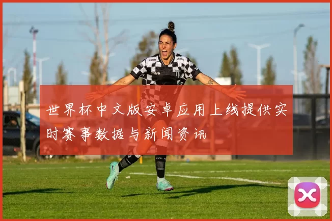 世界杯中文版安卓应用上线提供实时赛事数据与新闻资讯