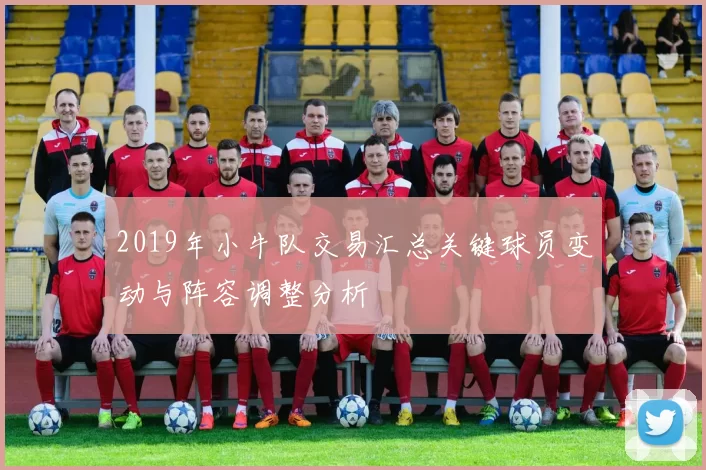 2019年小牛队交易汇总关键球员变动与阵容调整分析